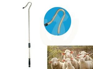 bastone-per-pecore